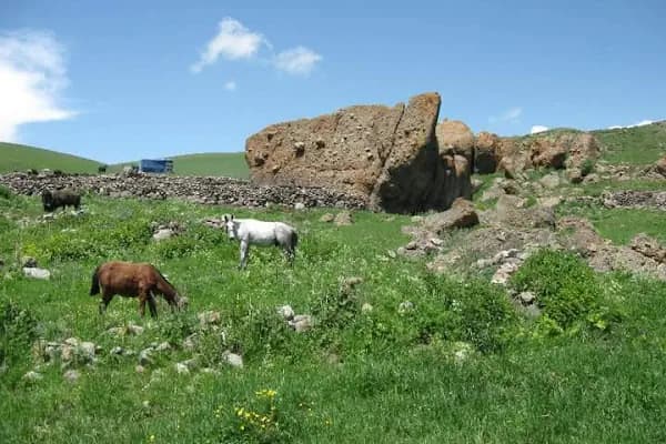Süngüderesi - Yerleşim Yeri - Kars Kars Merkez