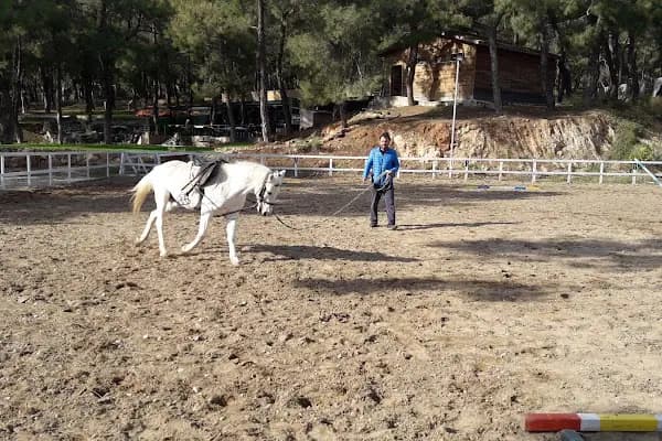 ARES At Çiftliği - At Binme Hizmeti - Antalya Alanya