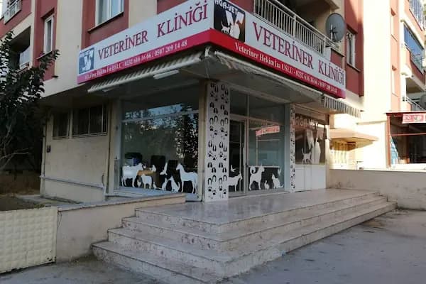 Ağa-Vet Veteriner Kliniği - Veteriner - İzmir Aliağa