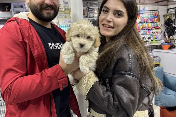 Antalya 07 PetShop - Evcil Hayvan Malzemeleri Mağazası - Antalya Konyaaltı