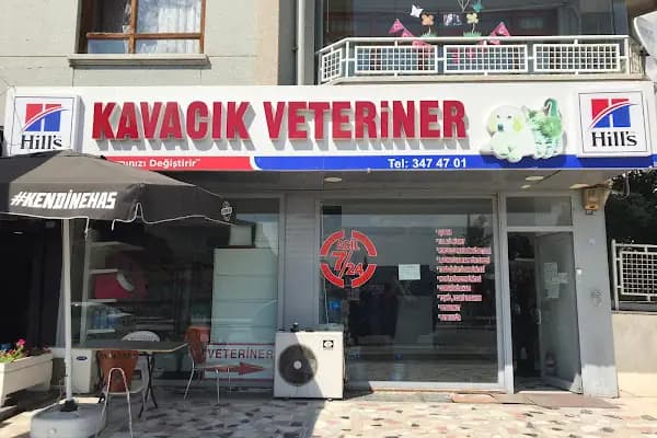 KAVACIK VETERİNER KLİNİĞİ - Veteriner - Ankara Keçiören