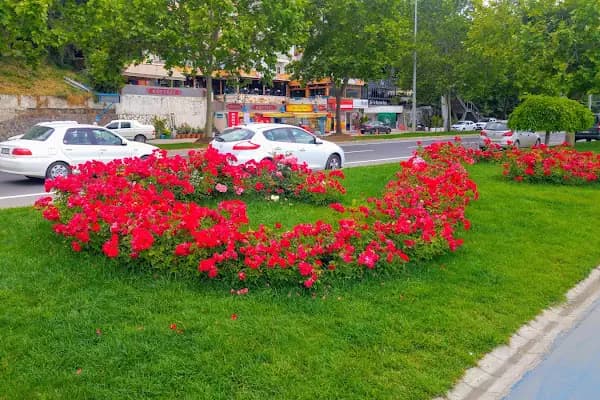 Su ürünleri Ve Deniz Hayvanları - Bakkal - Edirne Enez