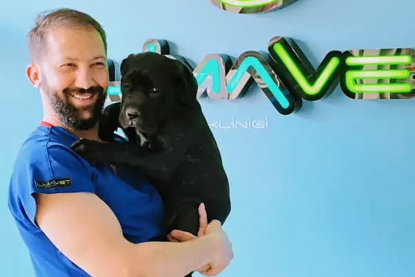Lima Veteriner Kliniği - Veteriner - İstanbul Avcılar