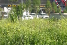 23 Nisan Anaokulu