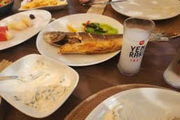 Aşı koyu