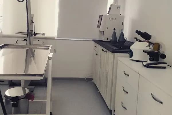 Mayada Veteriner Kliniği - Veteriner - İstanbul Küçükçekmece