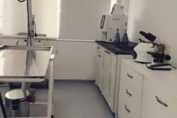 Mayada Veteriner Kliniği