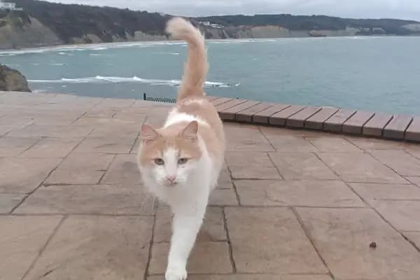 Karaburun günbatımı terası - Turistik Yer - İstanbul Sarıyer