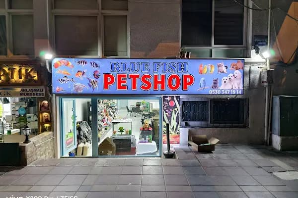 Blue Fish Petshop - Akvaryum Mağazası - İzmir 