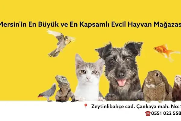MEDA PET SHOP - Evcil hayvan mağazası - Mersin Akdeniz