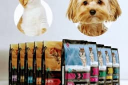 OSMANLI PETSHOP Akvaryum & Ayakkabı, valiz, çanta, deri mont,Tamir işleri