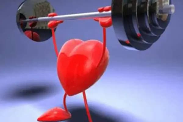 Ali’s Gym Fitness - Spor salonu - Antalya Alanya