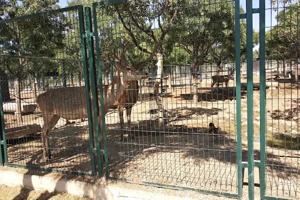 MALATLA HAYVANAT BANÇESİ - Hayvanat Bahçesi - Malatya Battalgazi