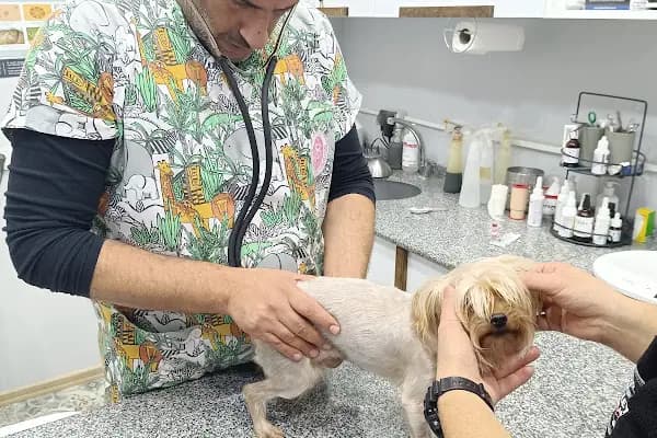 Bursa Demirci VETCLUB Veteriner Kliniği - Veteriner - Bursa Nilüfer