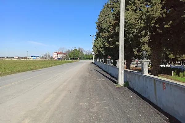 19 Mayıs Mezarlığı - Mezarlık - Samsun Ladik