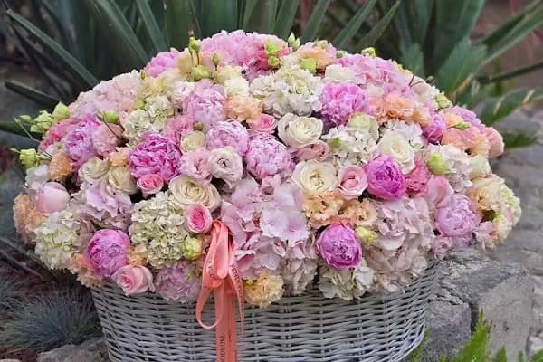 Fenix Flower / Türkbükü Çiçekçi - Çiçekçi - Muğla Bodrum