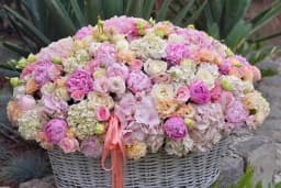 Fenix Flower / Türkbükü Çiçekçi