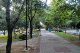 Yeni Şehir Korusu