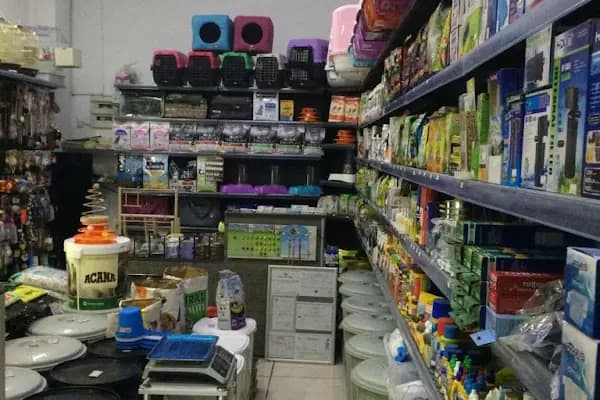 canyon pet center - Evcil hayvan mağazası - Ankara Akyurt