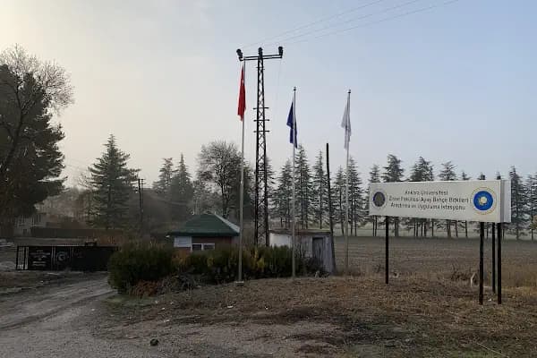 Ayaş Bahçe Vitkileri Araştırma Ve Uygulama İstasyonu - Kolej - Ankara Ayaş