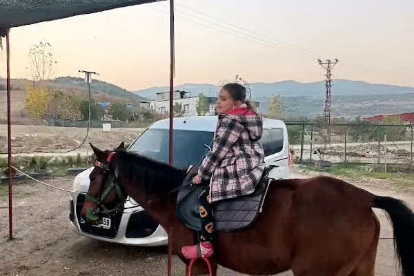 Horse &amp; Dog Academy - Mersin Silifke At Çiftliği, Köpek Oteli ve Kahvaltı - At Binme Hizmeti - Mersin Mezitli