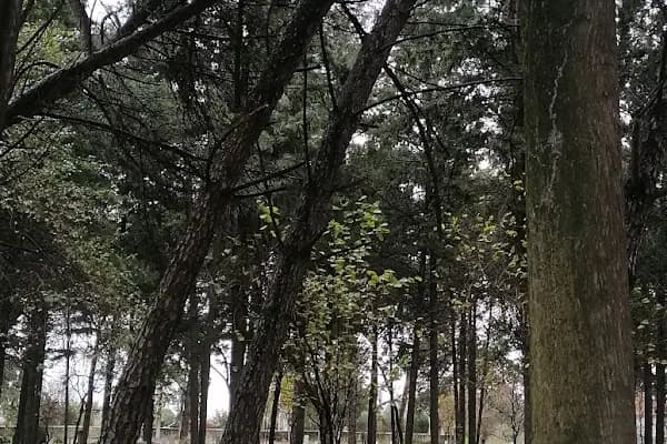 Ovaköy - Yerleşim Yeri - Balıkesir Altıeylül