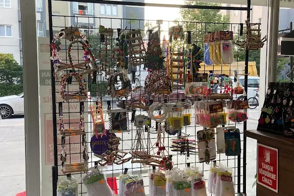 Hadımköy Petshop - Evcil hayvan mağazası - İstanbul Bayrampaşa