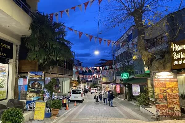CAN THERMAL KAPLICA APART OTEL - Otel - Yalova Termal
