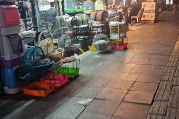 Ayhan PetShop - Evcil hayvan mağazası - Ankara Çankaya