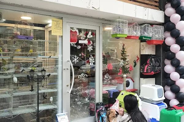 Atomm Petshop - Evcil Hayvan Malzemeleri Mağazası - Denizli Pamukkale
