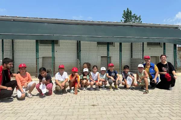 Aksu Belediyesi Veteriner işleri Müdürlüğü - Veteriner - Antalya Aksu