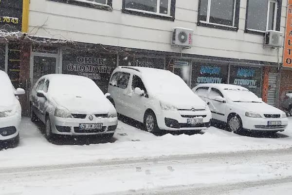 Okur otomotiv - Oto Galeri - Diyarbakır Bismil