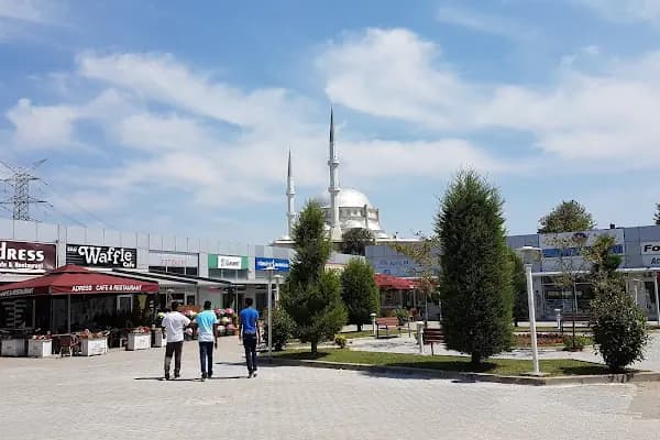 Park Alanı - Park - Sakarya Sapanca