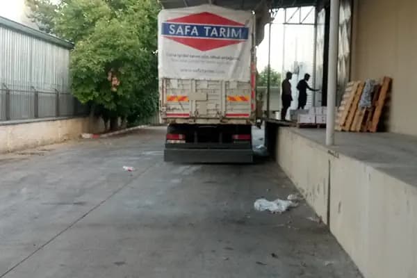 safa tarim antalya - Kurumsal Ofis - Antalya Alanya