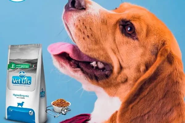 Mahmutlar Fundy Petshop Kedi ve Köpek Maması &amp; Aksesuarlar - Evcil Hayvan Malzemeleri Mağazası - Antalya Alanya