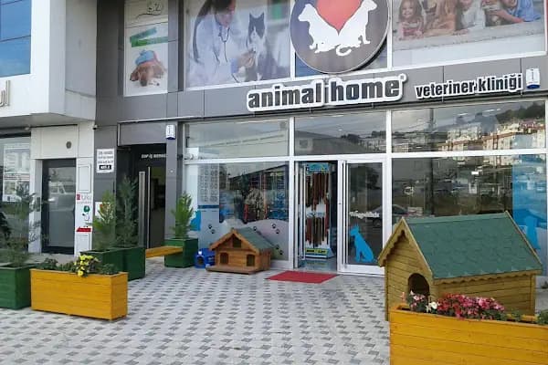Animal Home Veteriner Klınığı - Hayvan Hastanesi - Kocaeli Başiskele