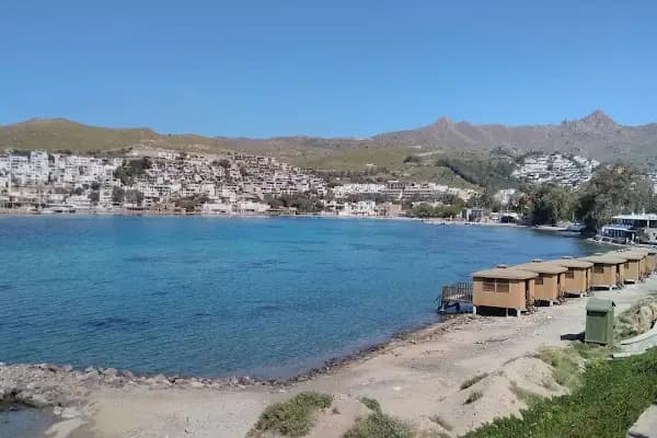 Hasel Doseme - Kurumsal Ofis - Muğla Dalaman