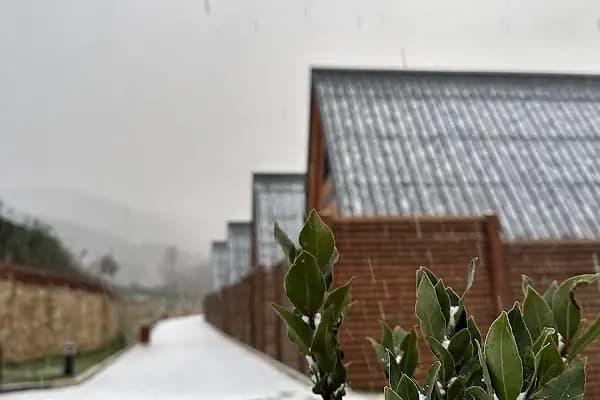 Erciva Bungalov - Kamping Bungalov - Bursa Gemlik
