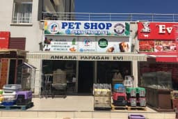Ankara Papağan Evi Pet Shop