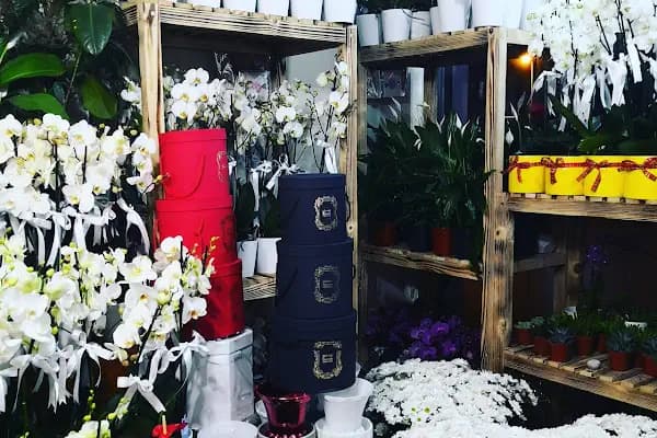Elit Butik Çiçekçilik - Çiçekçi - İstanbul Küçükçekmece
