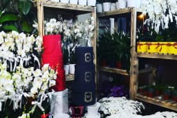 Elit Butik Çiçekçilik