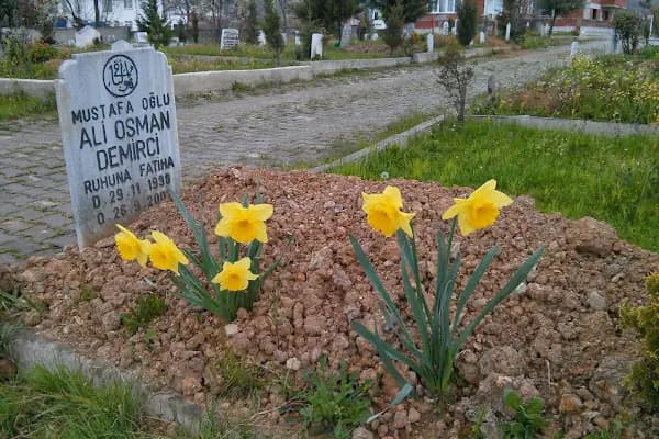 Hendek Bld Mezarlığı - Mezarlık - Sakarya Hendek