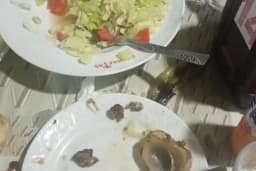 Atam Kır bahçesi