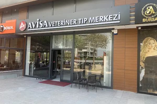 Avisa Veteriner Tıp Merkezi - Veteriner - Bursa Nilüfer