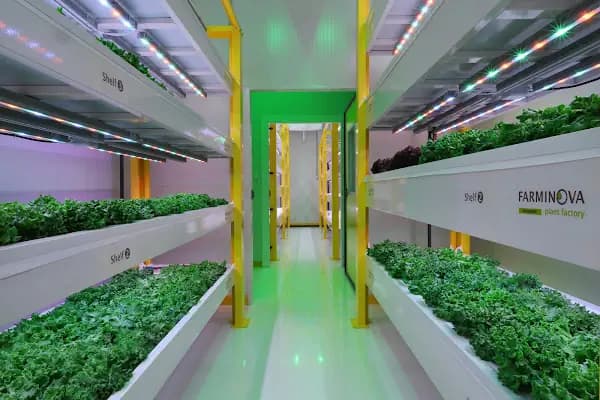 Farminova | Cantek Group - Bitki Uzmanı - Antalya Döşemealtı