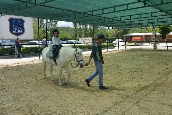 Dila Atlı Spor Kulübü - Binicilik Kulübü - İstanbul Büyükçekmece