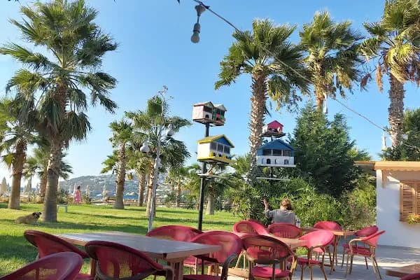 Avta Restaurant - Restoran - Muğla Bodrum