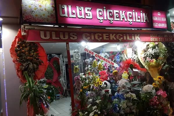ULUS ÇIÇEKÇILIK - Çiçekçi - Ankara Altındağ