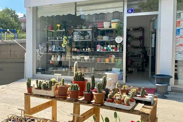 Elysian Mucizeler Dükkanı-Hediyelik - Çiçekçi - Ankara Pursaklar