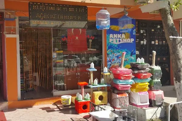 Çulfa Petshop - Evcil hayvan mağazası - Ankara Keçiören